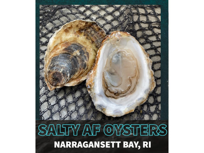 Salty AF Oyster - 25 count
